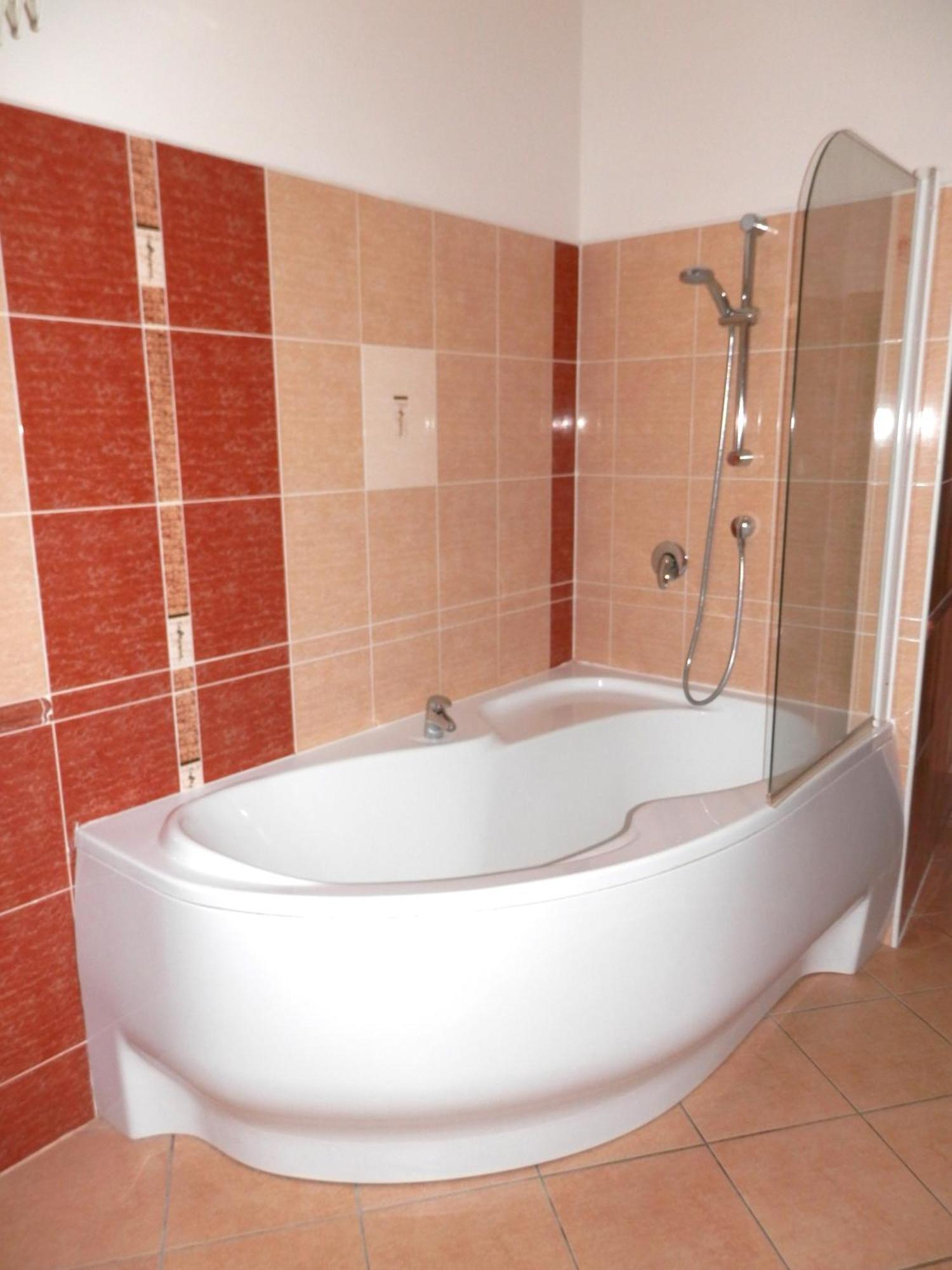 Spacious Below Spilberk Castle Apartment