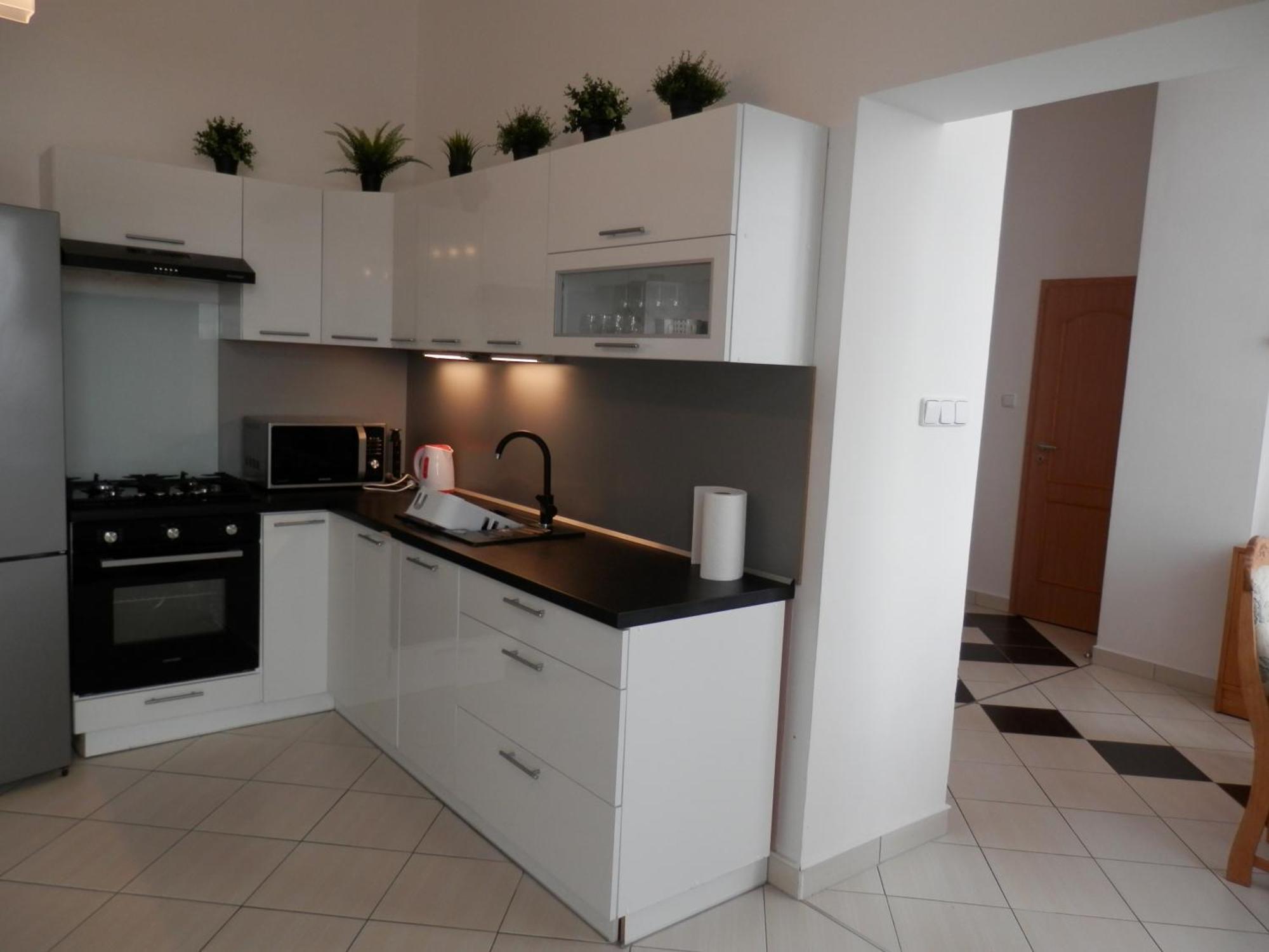Spacious Below Spilberk Castle Apartment Brno