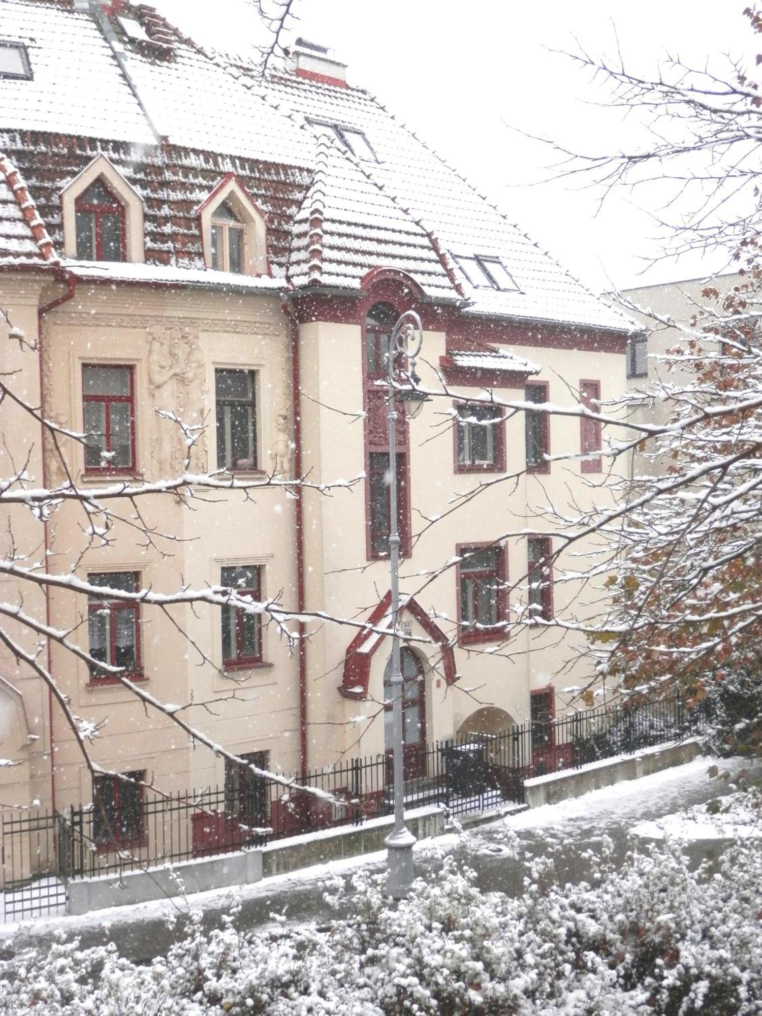 Spacious Below Spilberk Castle * Brno