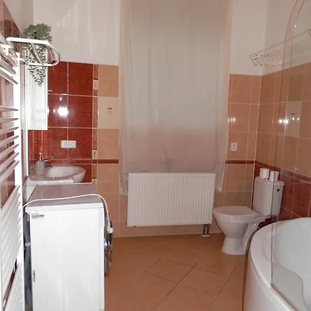 Spacious Apartment Below Spilberk Castle 布尔诺 外观 照片