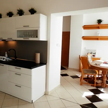 Spacious Apartment Below Spilberk Castle 布尔诺 外观 照片