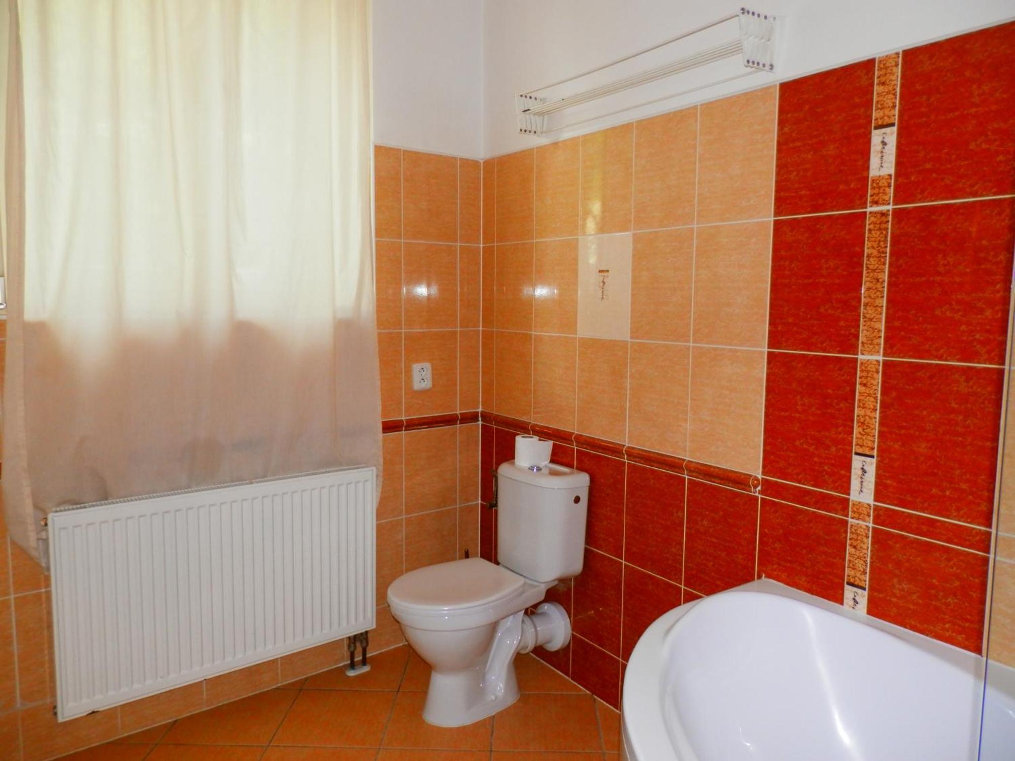 Apartment Spacious Below Spilberk Castle
